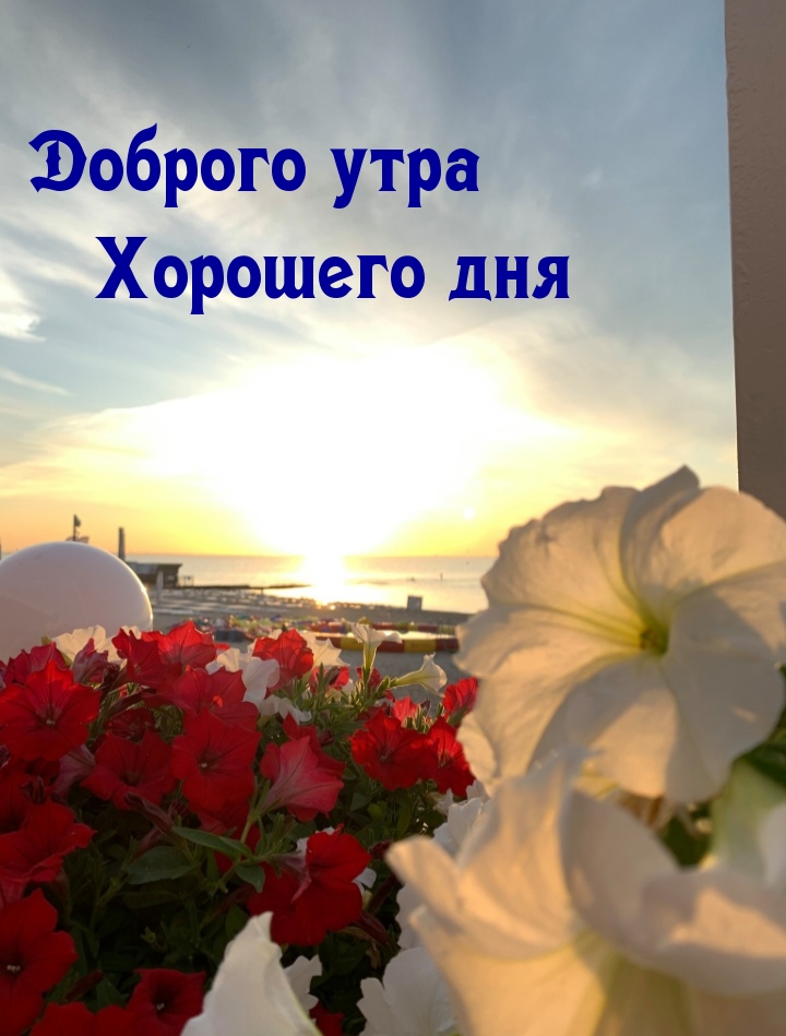 Картинки доброе утро мирного неба над головой. С добрым утром мирного неба. Доброго мирного утра и хорошего дня. Долрое утро мирного не ба. Доброе утро хорошего дня мирного неба.