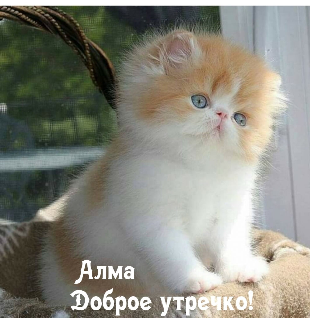 ,  !