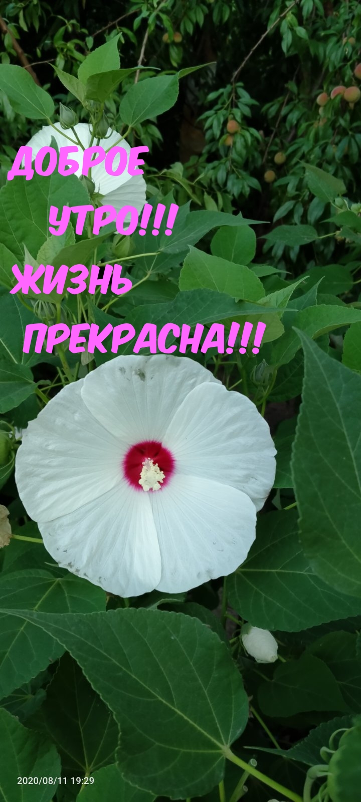  !  !.