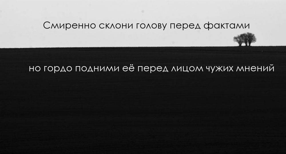 Гордо подними её перед лицом чужих мнений