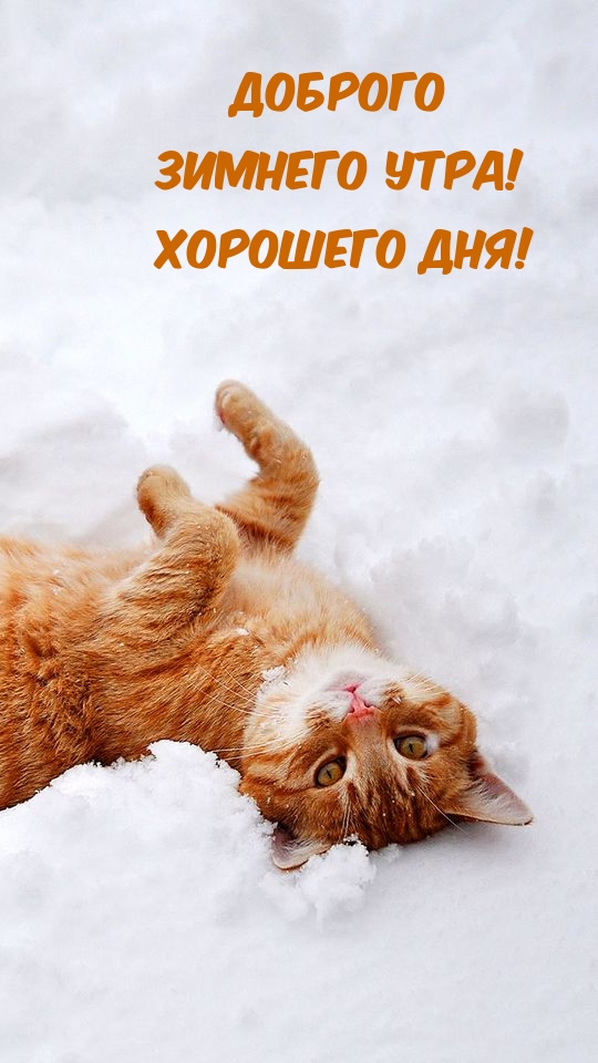   !  !.