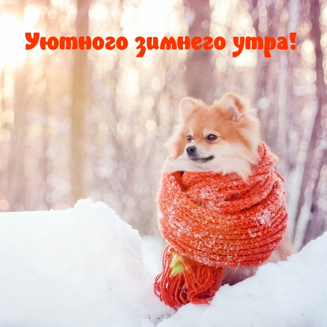   !.