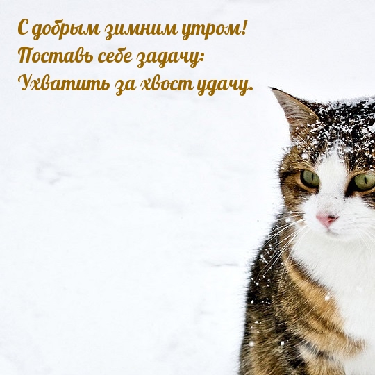 С добрым зимним утром! Поставь себе задачу.