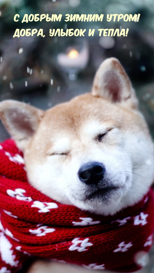    ! ,   !.