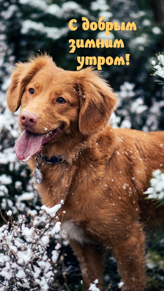 https://www.imagetext.ru/pics_max/images_19180.jpg