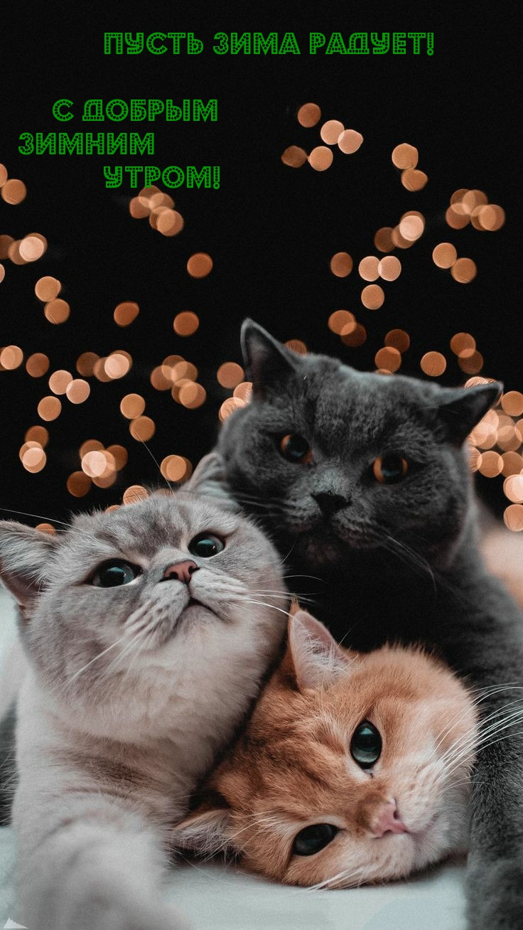   :   !