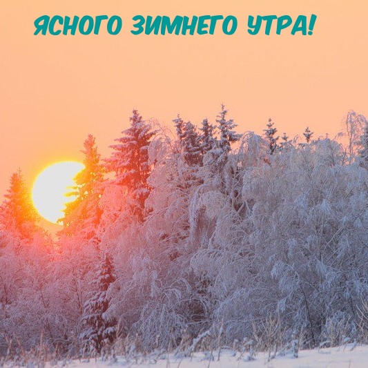 Ясного Зимнего Утра!.