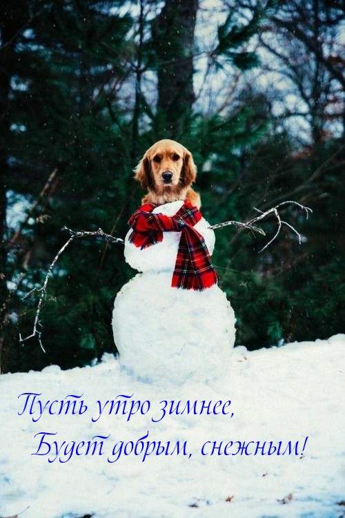   ,  , !.