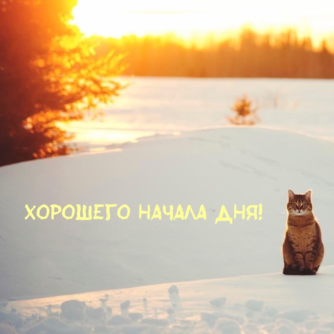   !.