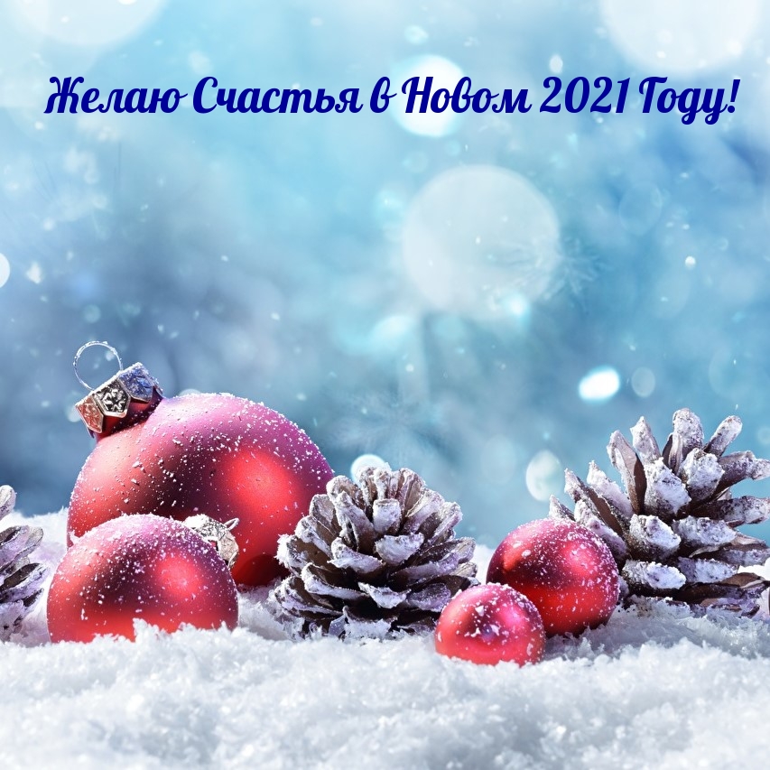   :     2021 !