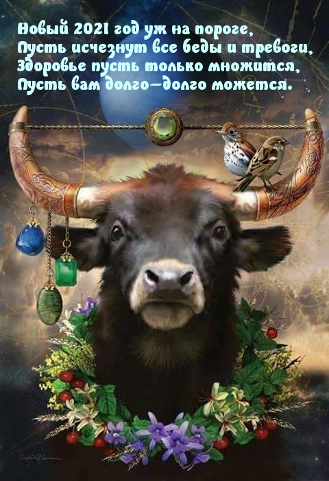 Новый 2021 год уж на пороге.