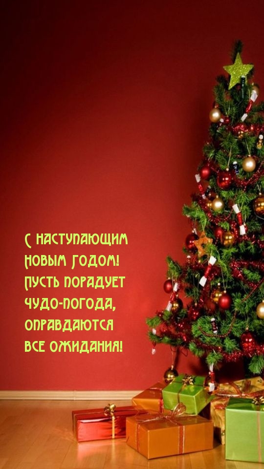 С наступающим Новым Годом! Пусть порадует чудо-погода.