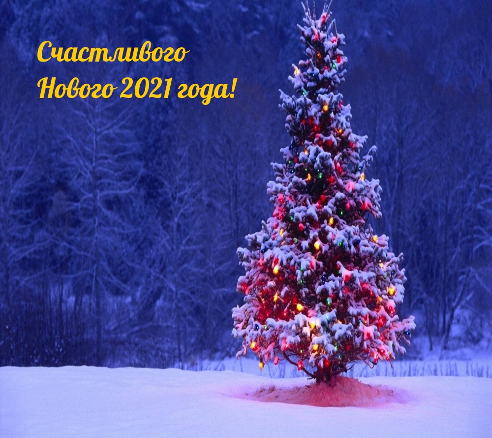 Счастливого Нового 2021 года!