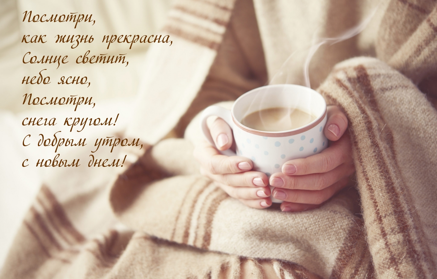 Посмотри,  как жизнь прекрасна! с новым днем!