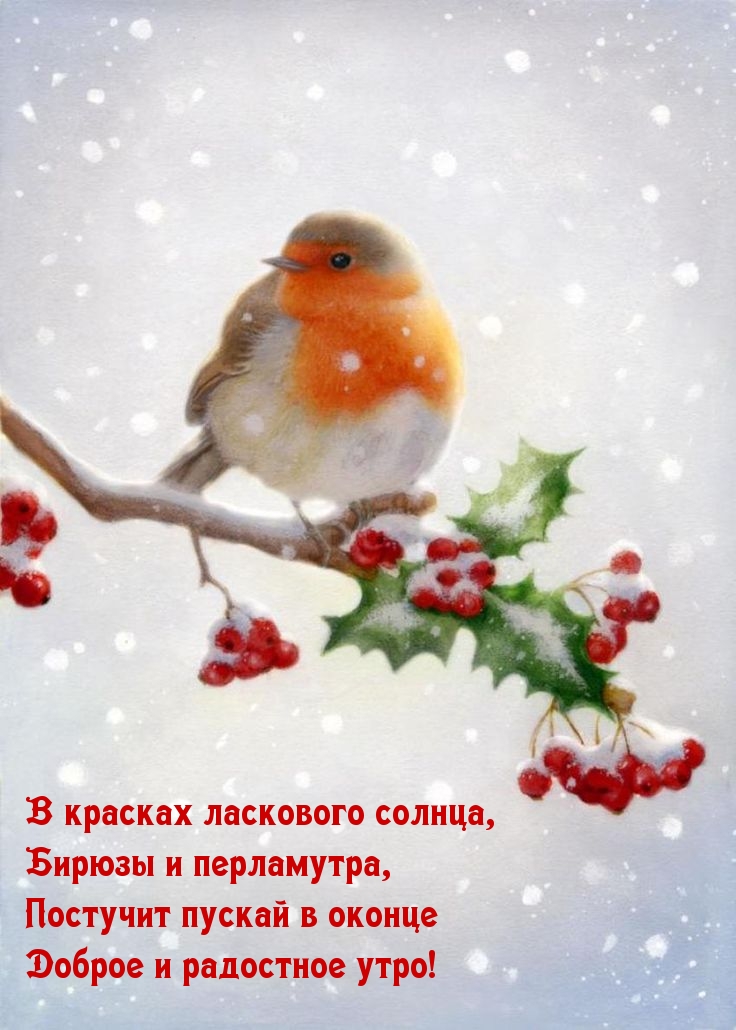 Доброе и радостное утро!