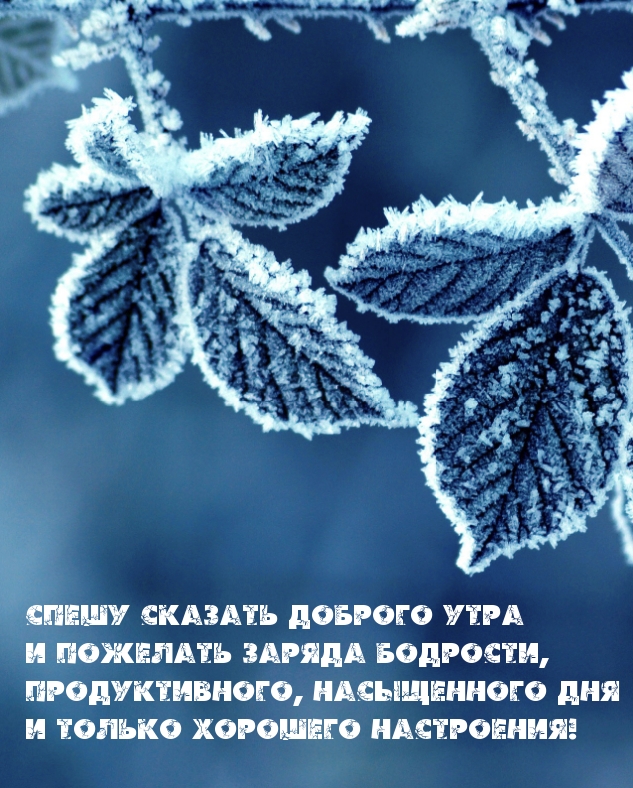     !.