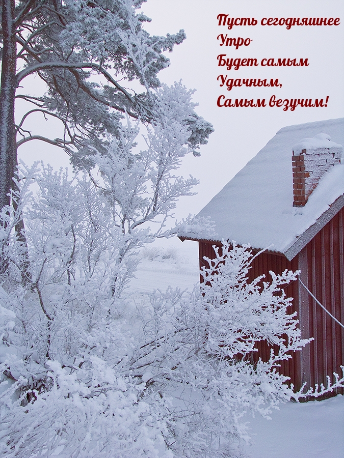 Текст как красива зима в твоей комнате. Доброе зимнее утро. Доброе зимнее утро в деревне. Доброе утро зима деревня. Самого доброго зимнего утра.
