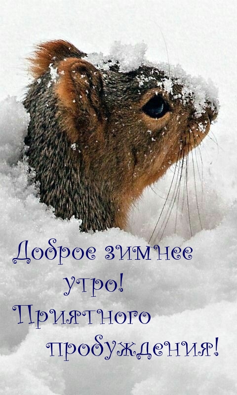   :   !  !