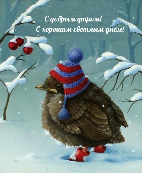 С добрым утром! С хорошим светлым днём!.