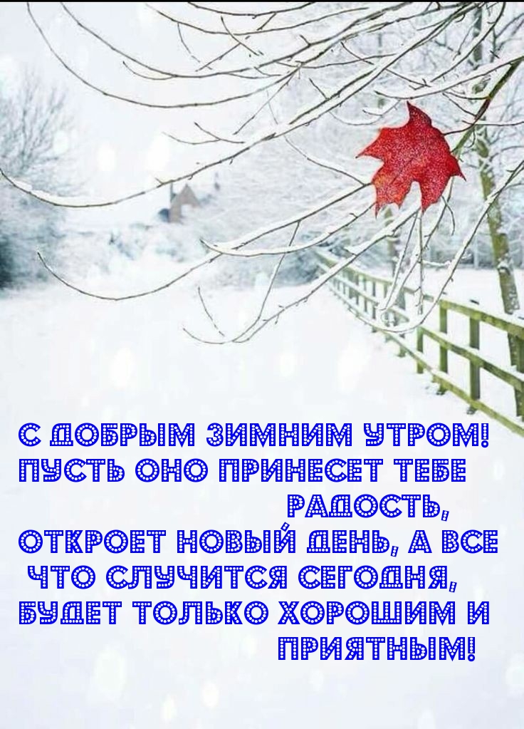 Январский утренний порой по снегу скрип веселый. С добрым зимним утром. Пожелания доброго зимнего утра. С добрым утром зимние красивые пожеланиями. Доброго зимнего утра и хорошего дня.