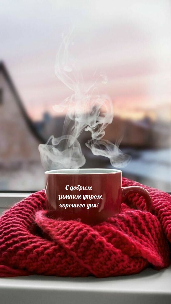 С добрым     зимним утром,     хорошего дня!.