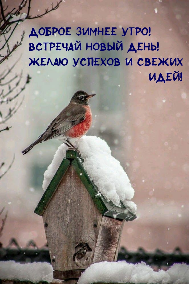   !     !.