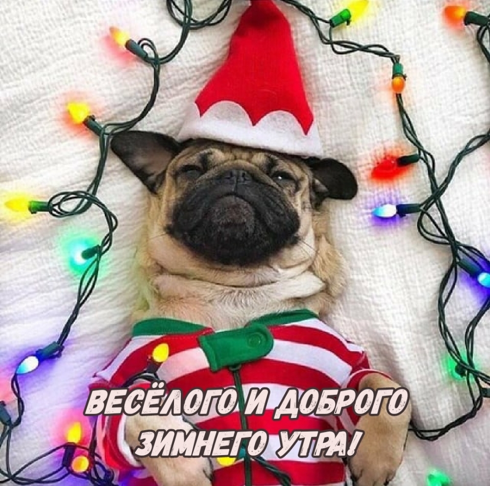 Весёлого и доброго зимнего утра!