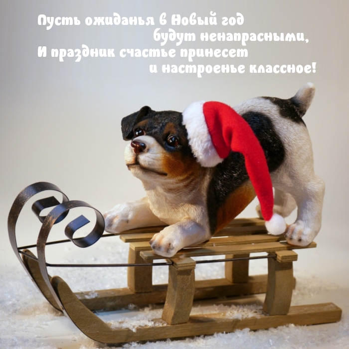   :       