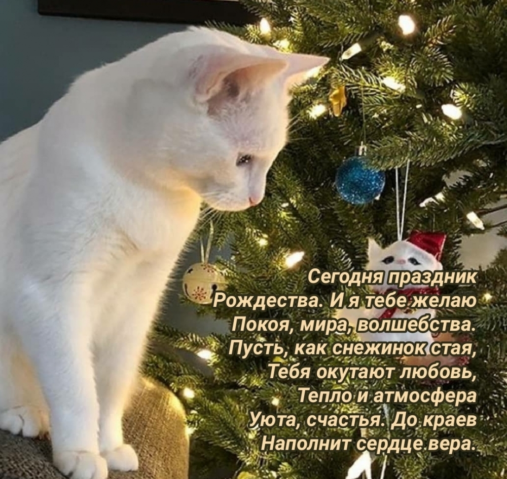   :   ! , , !