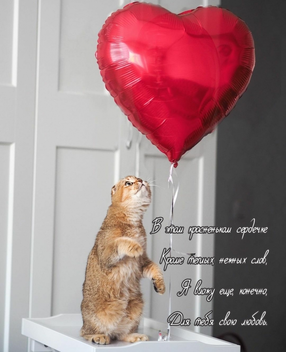   :   , ,    