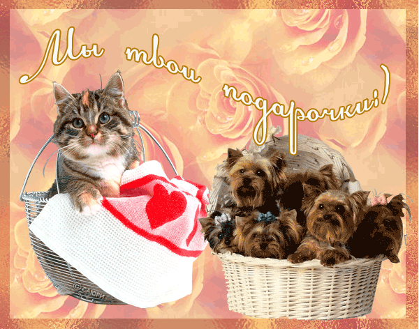 Мы твои подарочки.