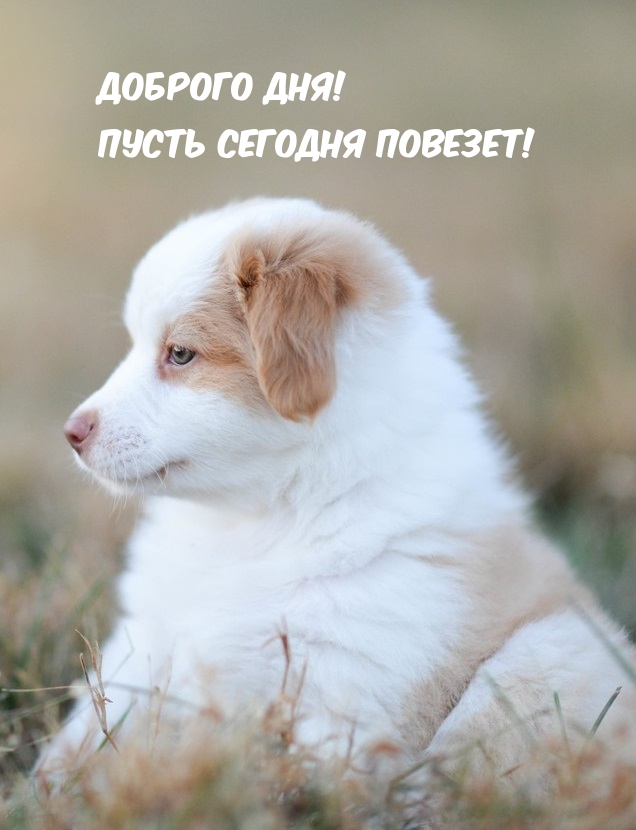  !   !.