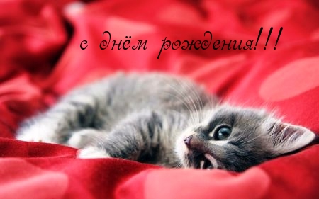 C днём рождения.