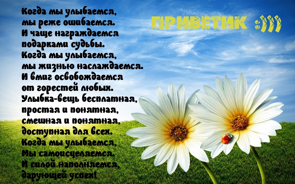   : 