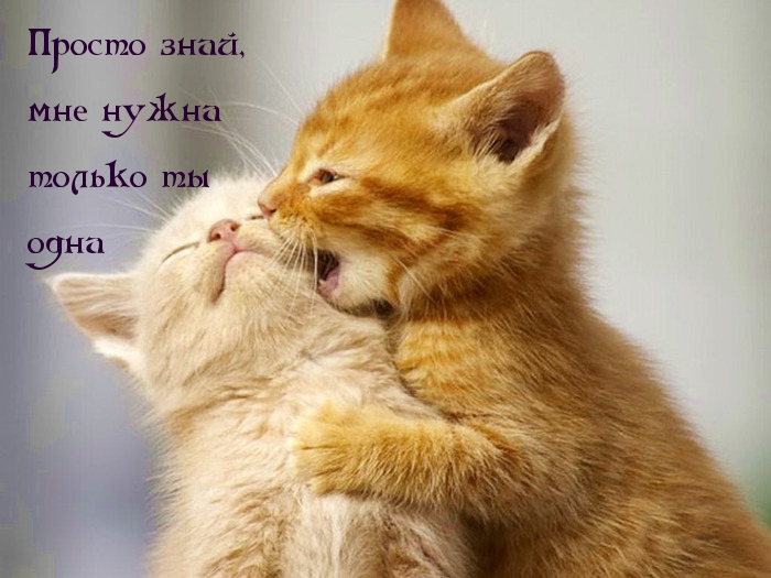 Мне нужна только ты.
