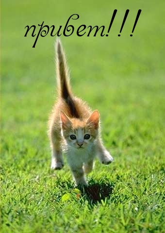 Привет!.