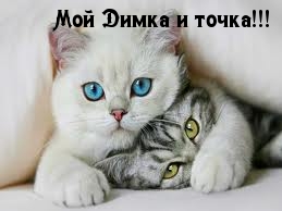    !.