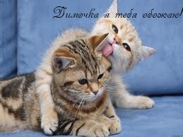    !.