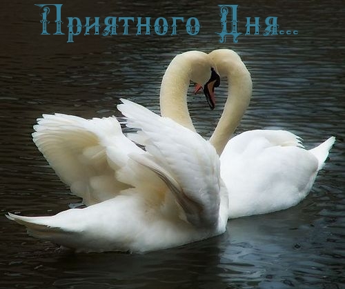   :   ...