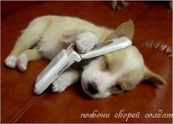 http://www.imagetext.ru/pics_max/images_2892.jpg