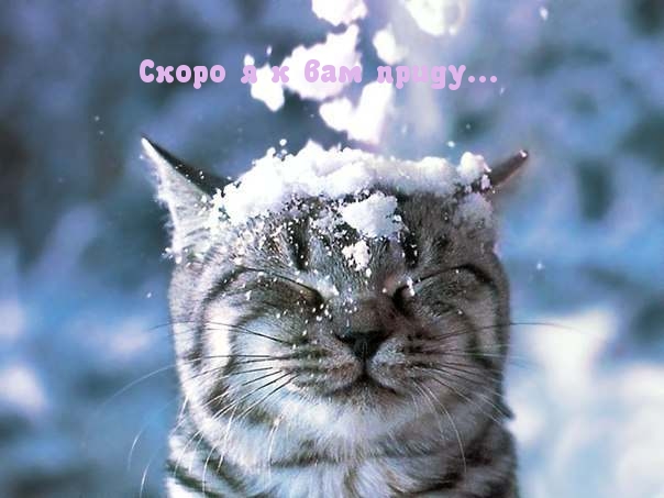 Скоро я к вам приду.