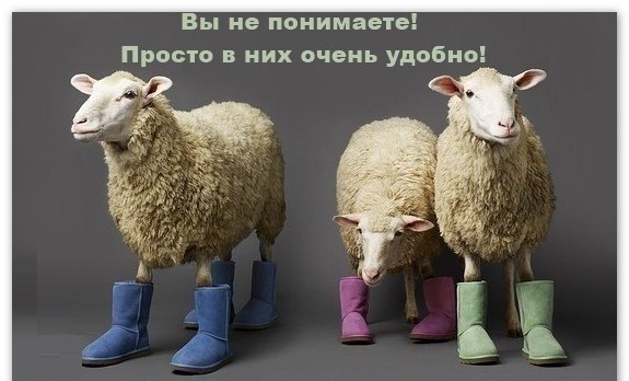 Картинки с надписями Вы не понимаете!