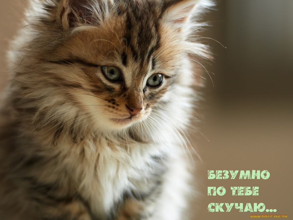 Безумно по тебе скучаю...