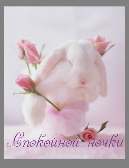  :  