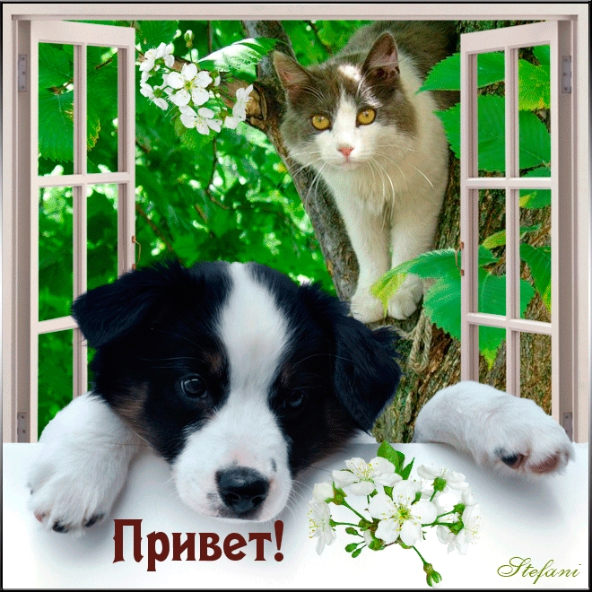 Привет!.