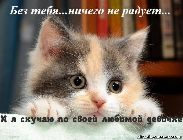 И я скучаю по своей любимой.