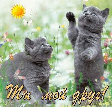   :   !