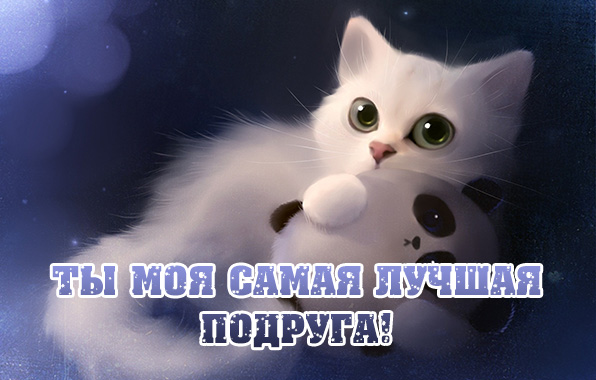   :     