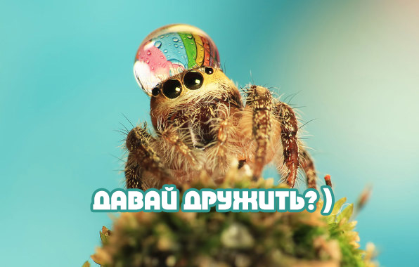   :  ?)