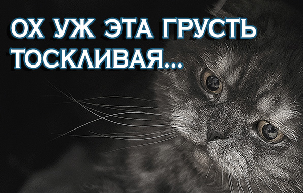   :     ..